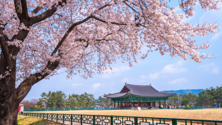 逆に韓国語と日本語で違う点をまとめてみた